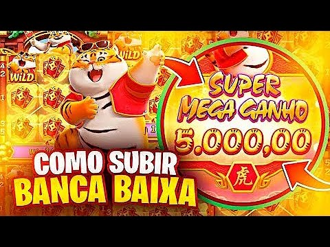 sunpayus imagem de tela 4